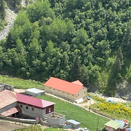 Guest House Caucasioni Adishi Luaran gambar