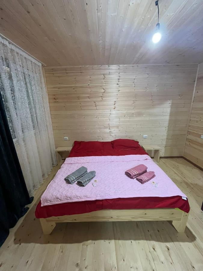 Guest House Caucasioni Adishi Luaran gambar
